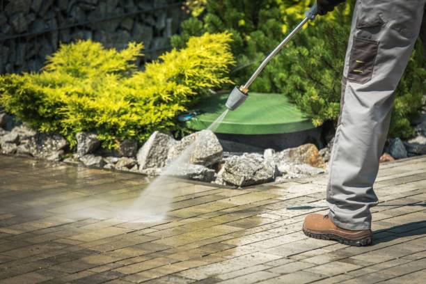 Best Pre-Holiday Cleaning  in Grosse Pointe Farms, MI